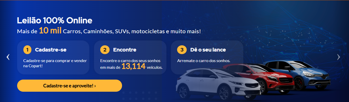 COPART LEILÕES